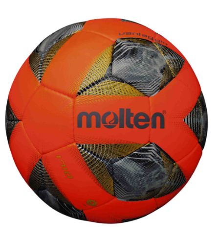 BALLON DE FOOT ENTREE GAMME MOLTEN – Image 2